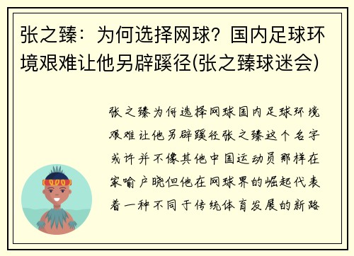 张之臻：为何选择网球？国内足球环境艰难让他另辟蹊径(张之臻球迷会)