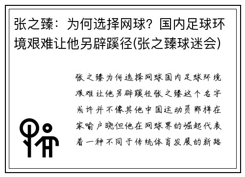 张之臻：为何选择网球？国内足球环境艰难让他另辟蹊径(张之臻球迷会)