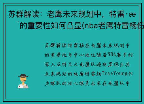 苏群解读：老鹰未来规划中，特雷·杨的重要性如何凸显(nba老鹰特雷杨伤情)