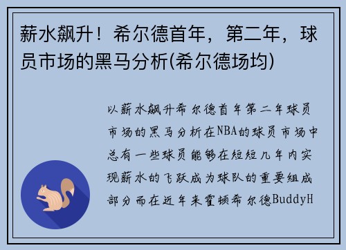 薪水飙升！希尔德首年，第二年，球员市场的黑马分析(希尔德场均)